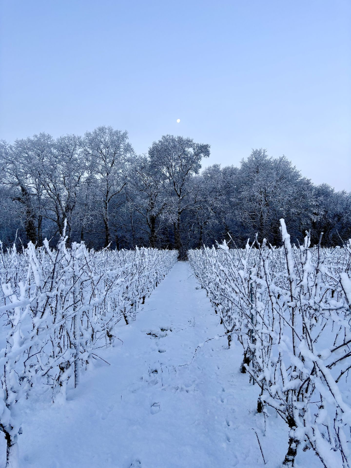 Berligou sous la neige - Les Quatre Journaux