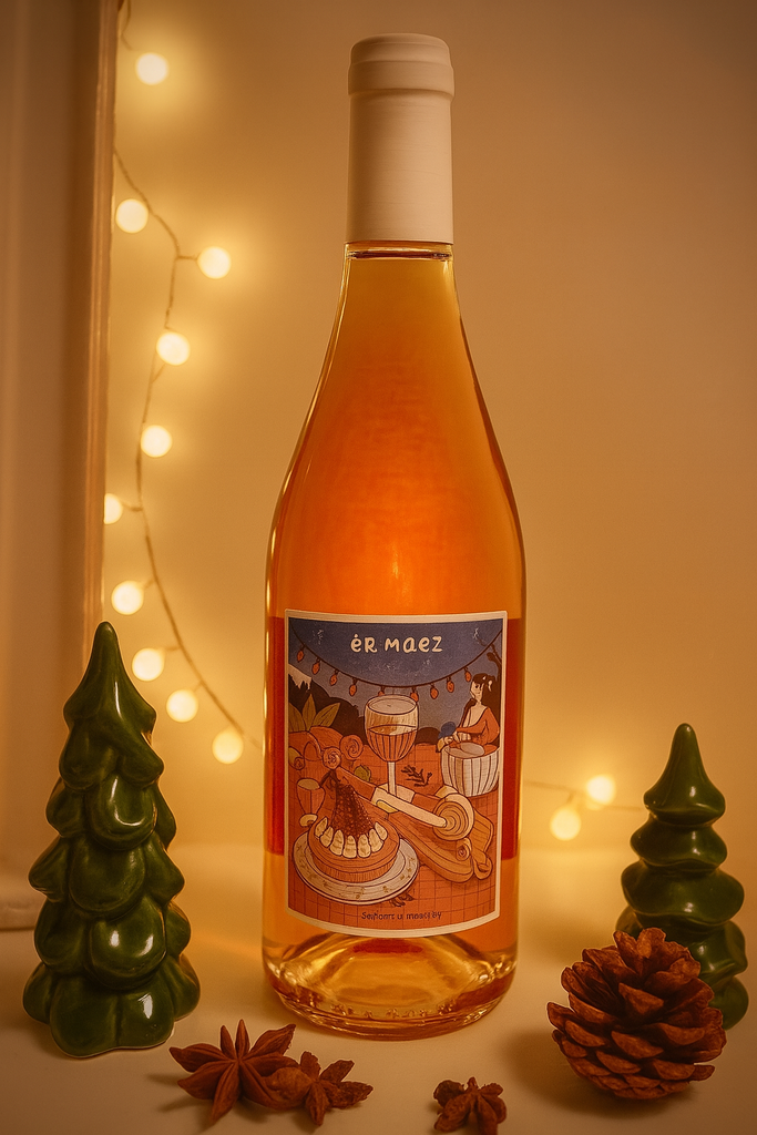 ChatGPT Image 30 nov. 2025 à 11_01_20.webp